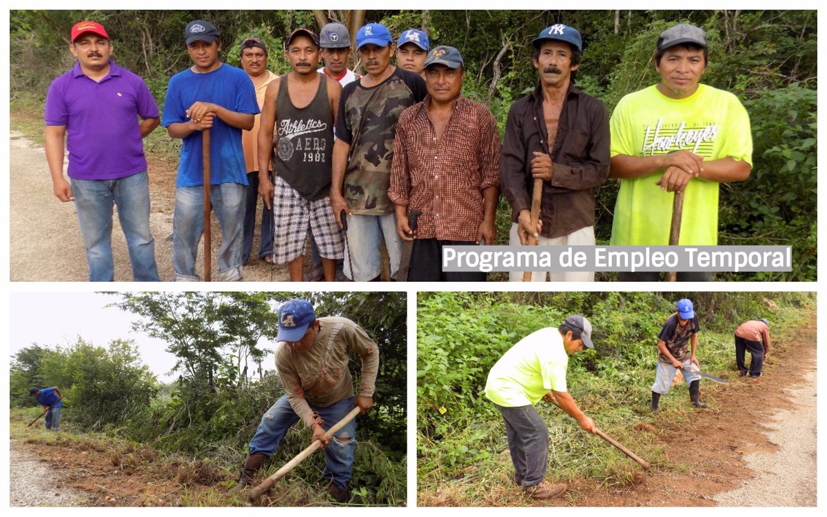 Jorge_Montano99's tweet photo. Beneficiarios del @PetSCT en el municipio de Maní, realizan trabajos de conservación en el camino hacia la Unidad Frutícola de Tipikal https://t.co/BNMdD9d1iQ