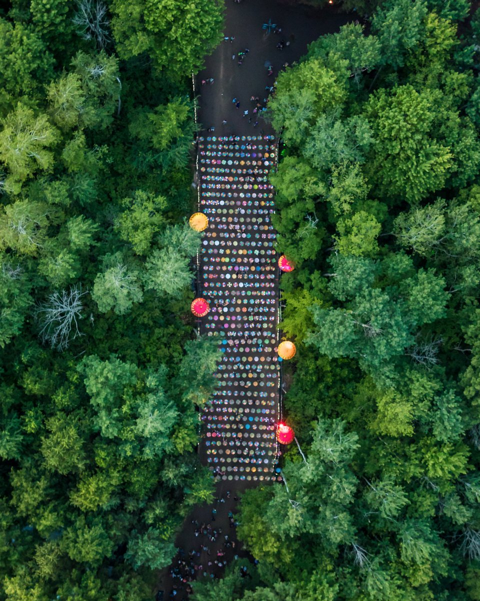 Electric_Forest's tweet photo. Views like these are mind-altering. ⚡️🌲 #ElectricForest #SherwoodForest https://t.co/S8Z9MbCPnz