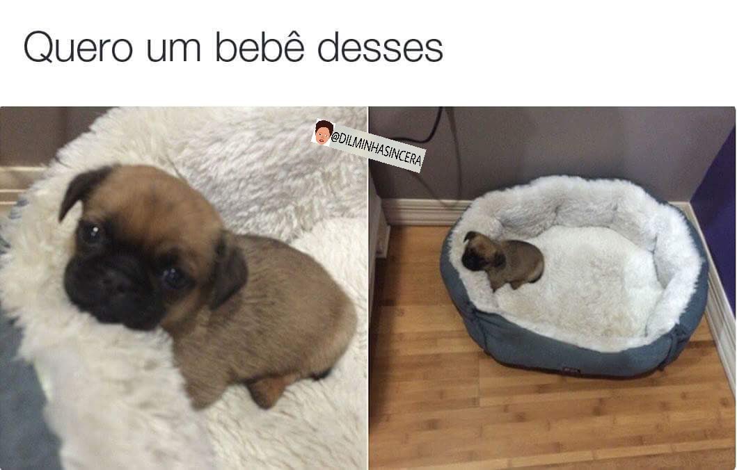 dilminhasincera's tweet photo. Quero um bebê desses https://t.co/7Fhj1JsUJB