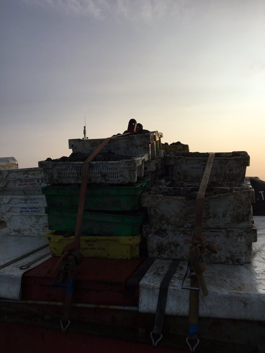 landschapbord's tweet photo. Resoneren met #omgeving, samen met de natuur: zeewier, oesters &amp; zeebaars oogsten en met #vakmanschap behandelen #TS31 #wadden #goedevissers https://t.co/CCgxd2IEUu