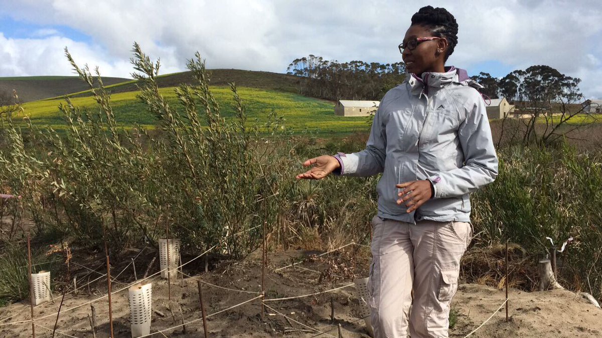 WWFSouthAfrica's tweet photo. @MadoloLumka showing us an active restoration site where alien vegetation was cleared & indigenous vegetation planted. #SAWaterFuture ππ¦ https://t.co/zqdXVMRYUE