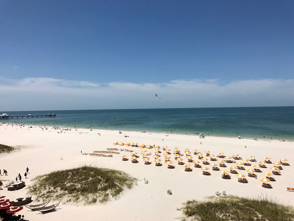 I'll be posting from the beautiful <a href="/Sandpearlresort/">Sandpearl Resort</a> in Clearwater  - my office for the week. #sandpearlserenity