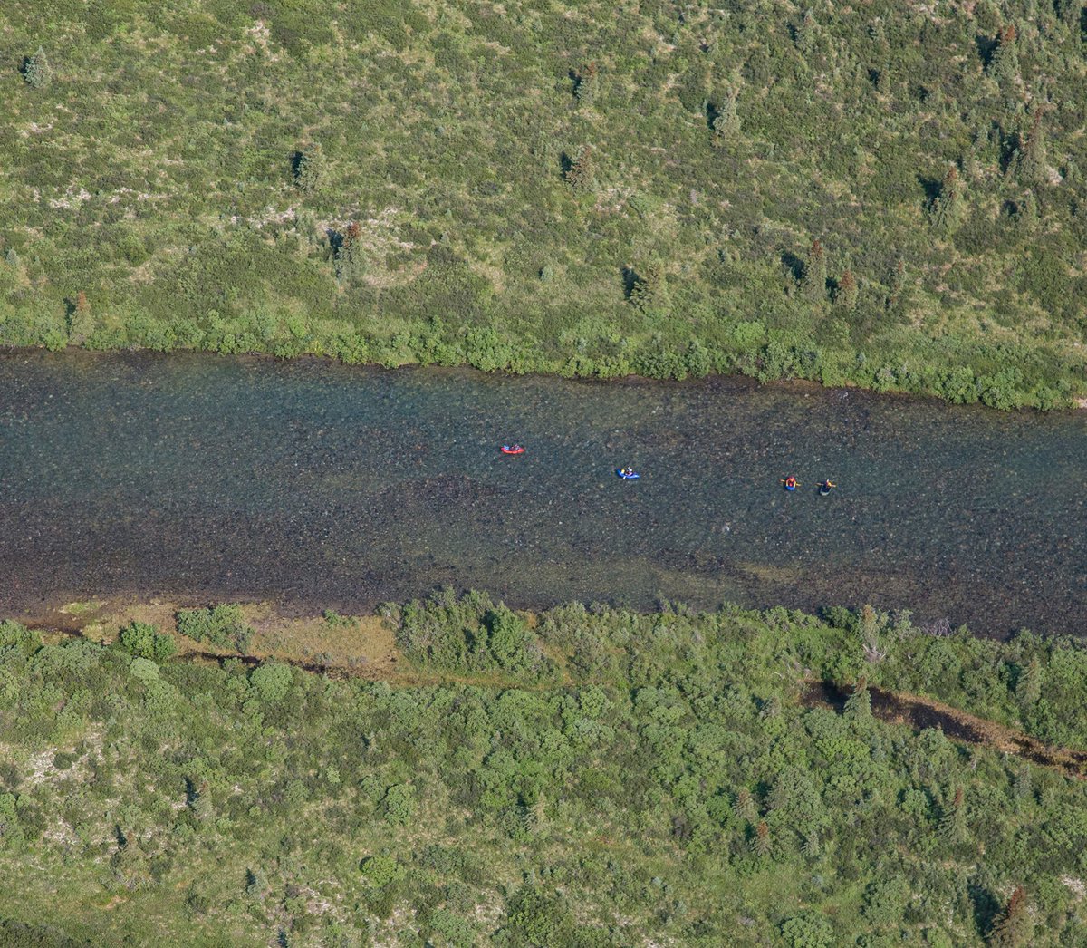 LakeClarkNPS's tweet photo. Did you know the Mulchatna, Tlikakila, and Chilikadrotna are National Wild #Rivers? You might even spot rafters instead of wading moose! https://t.co/xcgna4WSKF