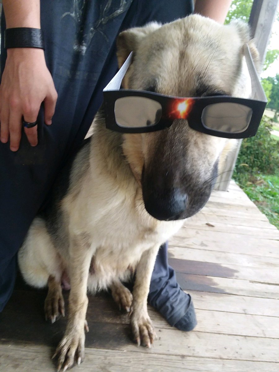 The Crabpig crew didnt see much of the #SolarEclipse2017 yesterday but we were still prepared

#doggos