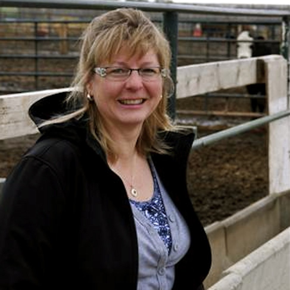 CanCattlemen's tweet image. Lethbridge researcher presented with Outstanding Research and Innovation award at #CBIC2017. canadiancattlemen.ca/2017/08/22/kar… #beef #cdnag
