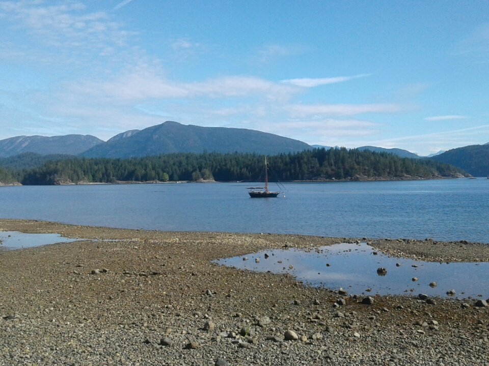 MistickFarm's tweet image. 