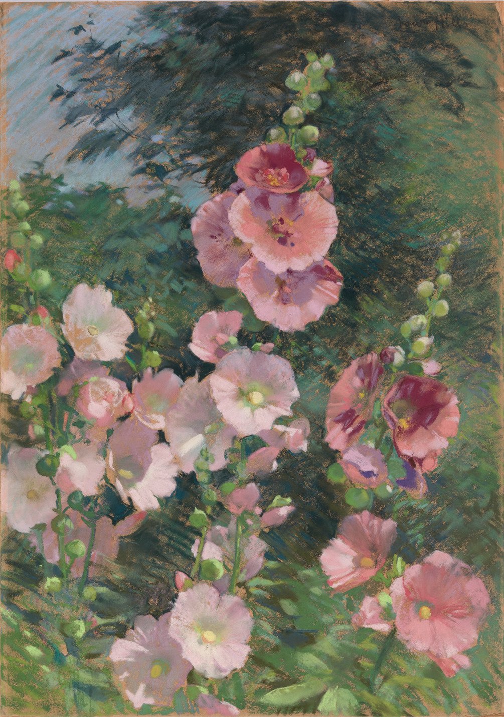 Лаура Кумбс Хиллс художник
