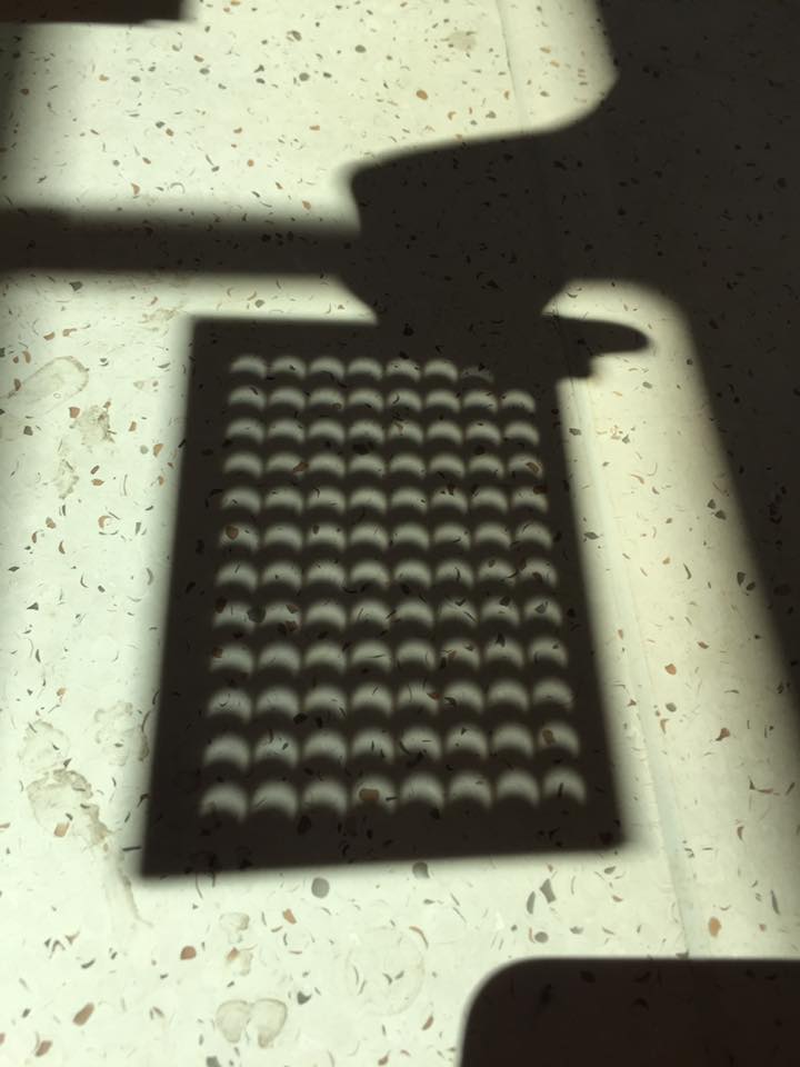 sonyahans's tweet image. The eclipse as seen through a 96-well plate. Courtesy of Katie Edmonds. #soscience #socool #Eclipe2017