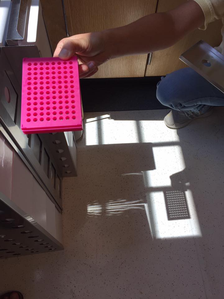 sonyahans's tweet image. The eclipse as seen through a 96-well plate. Courtesy of Katie Edmonds. #soscience #socool #Eclipe2017