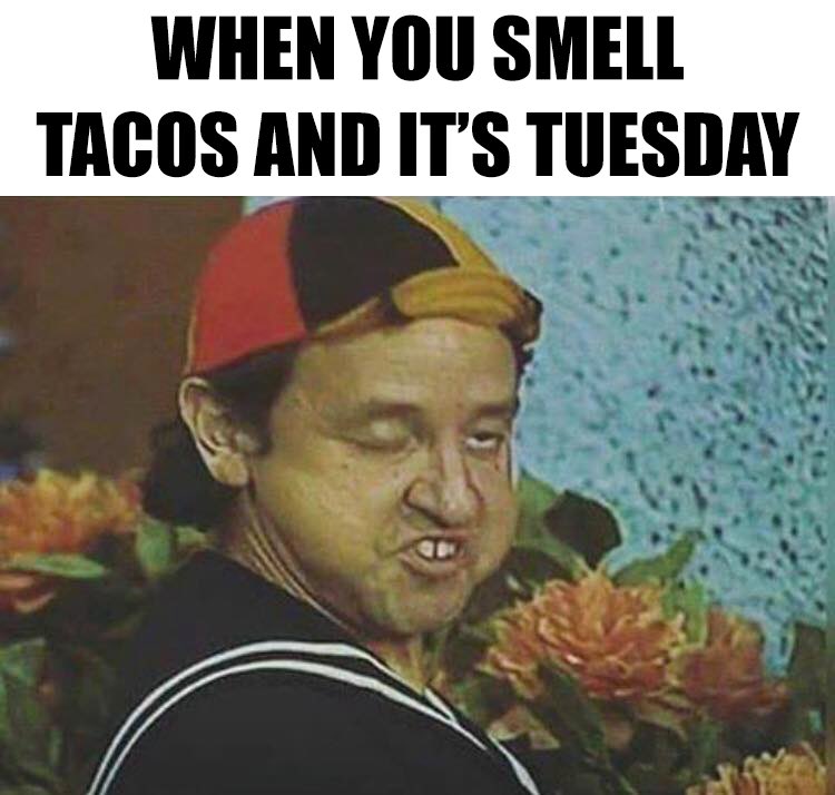 When you smell tacos and it's Tuesday. #TacoTuesday 🌮 https://t.co/yixjVJe3ag