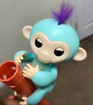 traveljenn's tweet photo. Fingerlings Toy Review: Go Bananas with Baby Monkeys #fingerlings https://t.co/PSBzk8BRzK https://t.co/mpXCSLcDhC