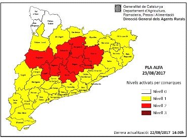 ADF Alella🎗 tweet media