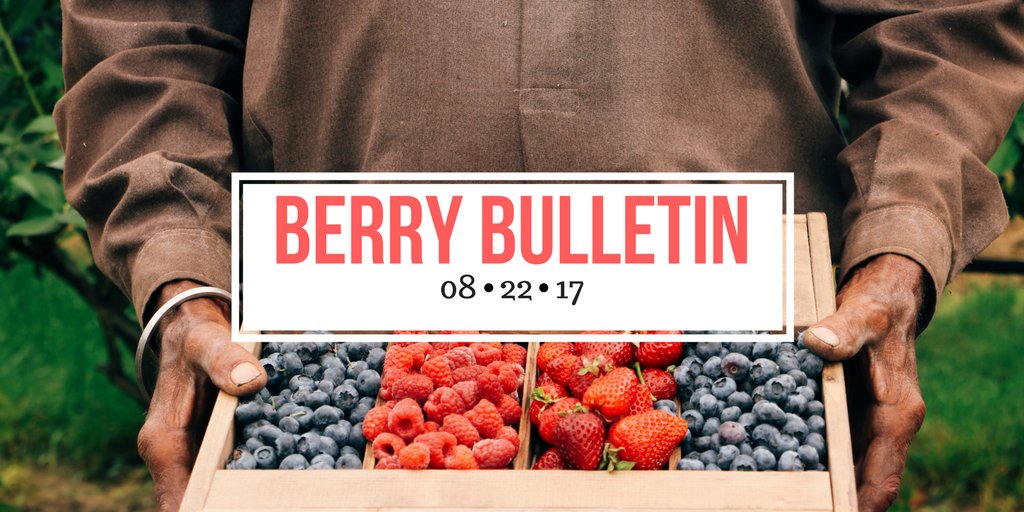 Strawberries✔️SALE! 
Blueberries ✔️VERY LIMITED
Super Sweet Jubilee ✔️
Pickling Cucumbers✔️
Stone Fruit✔️SILKEN &amp; SUNRISE
Squash Varieties✔️