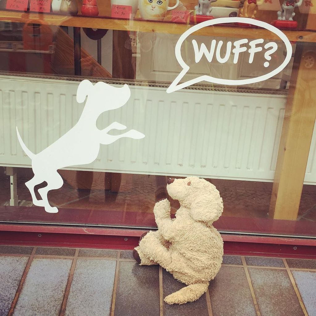 lobilat's tweet photo. Wuff! .
.
#wuff #dogencounter #dogsofberlin #fluffylove #fluffydog #shopwindow #hello #plushiesofinstagram #kusche… https://t.co/jiZlDvknPX https://t.co/vNac0ri9v0