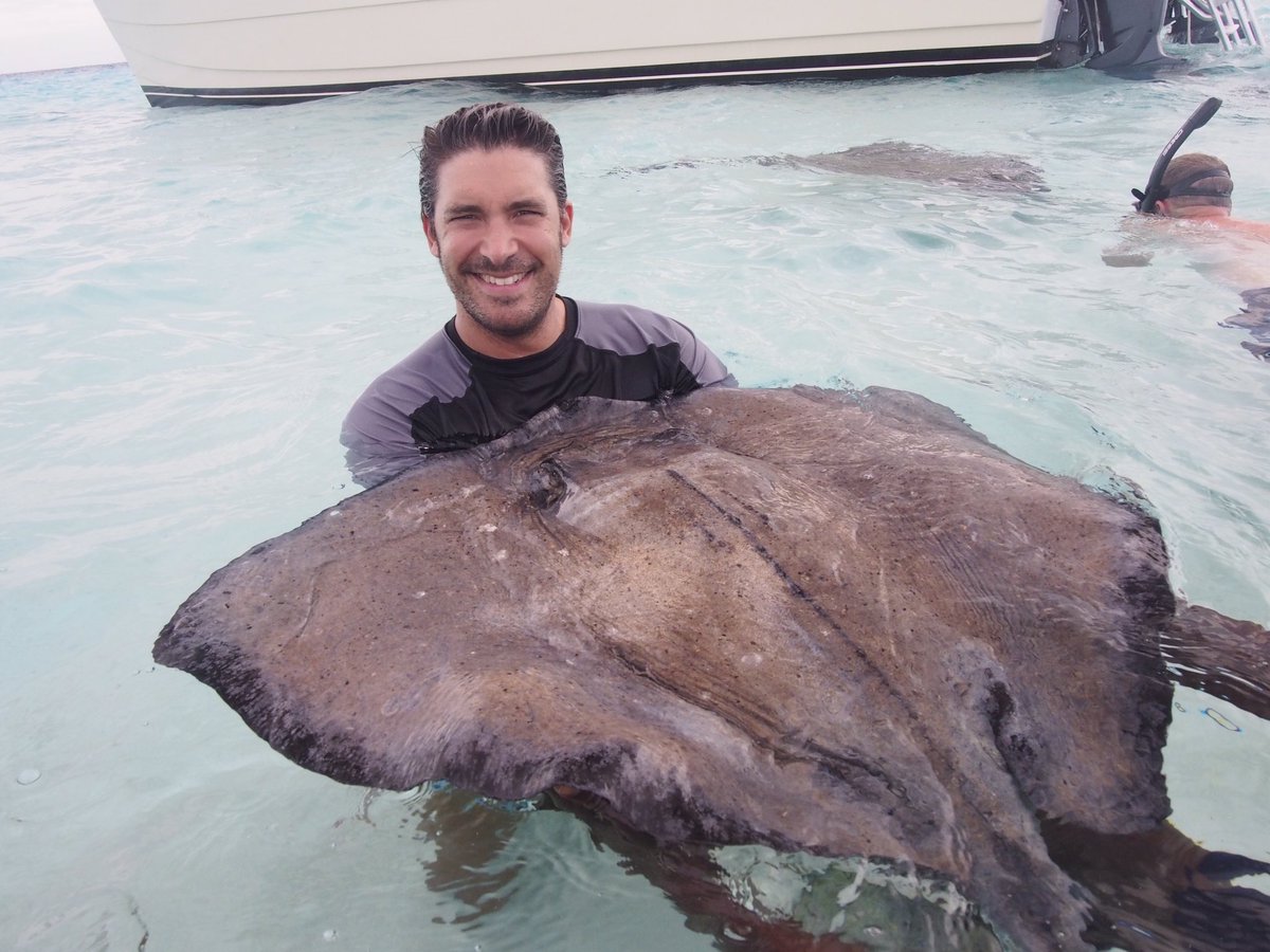 RaoulMartinezTV's tweet photo. A few more of this amazing #StingrayCity experience in the #CaymanIslands.  These guys are great: @captainmarvins 

@Cayman_Islands https://t.co/QQagrHGWkf