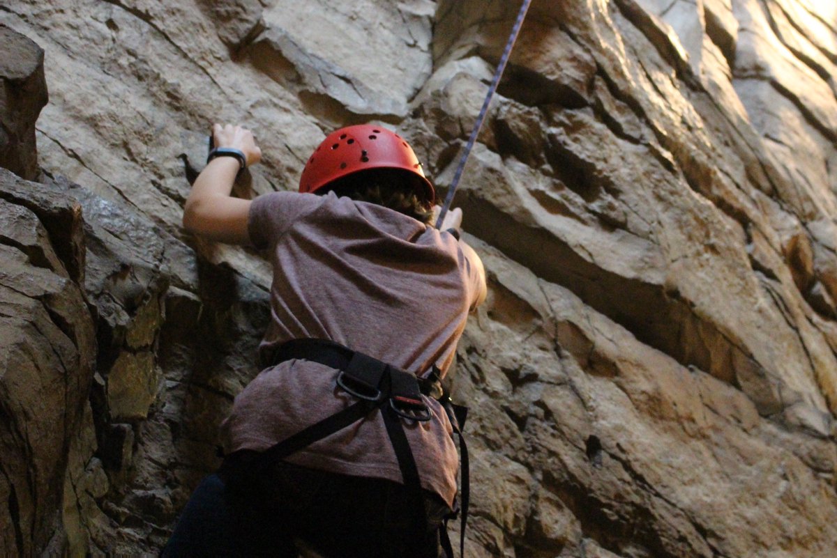 Base Camp tweet media