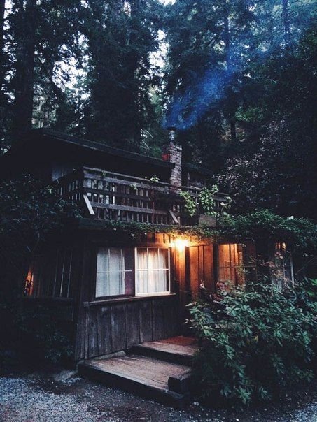 offthegridcabin's tweet photo. Nice little place. https://t.co/wDKb5vlSqI