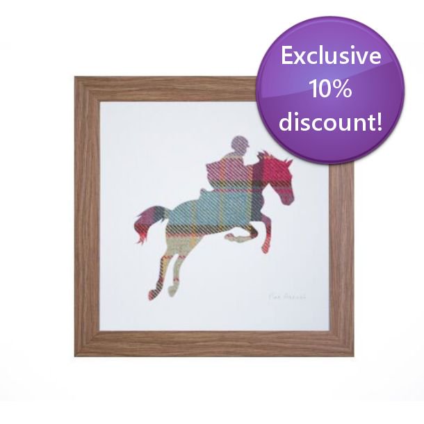 Horsequest.co.uk tweet media