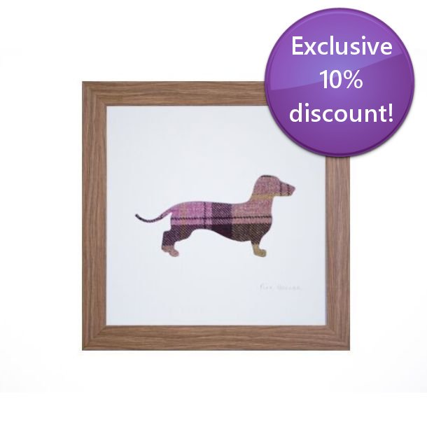 Horsequest.co.uk tweet media