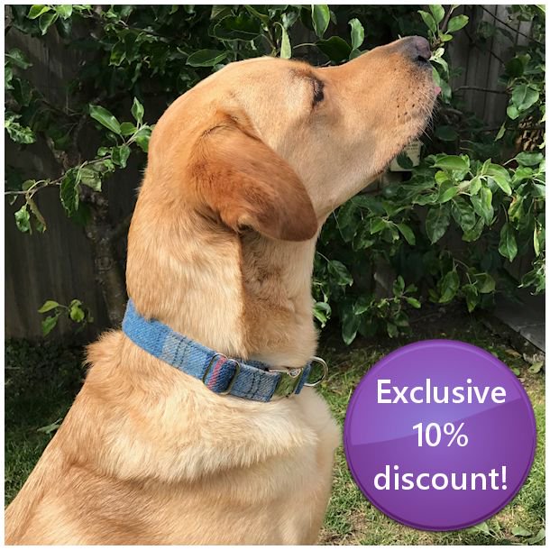 Horsequest.co.uk tweet media