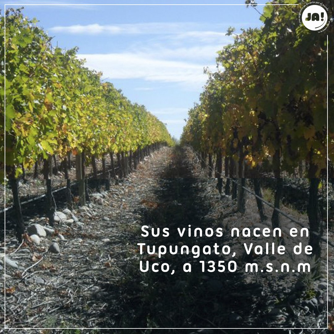LoDeJoaquin's tweet photo. 🍷 Embajada de Gualtallary en JA 🗻
Este jueves y viernes 19:30hs degustamos los vinos de Riglos. Reservá tu copa en https://t.co/z11XPjFcXV https://t.co/OCN3FLVZLI
