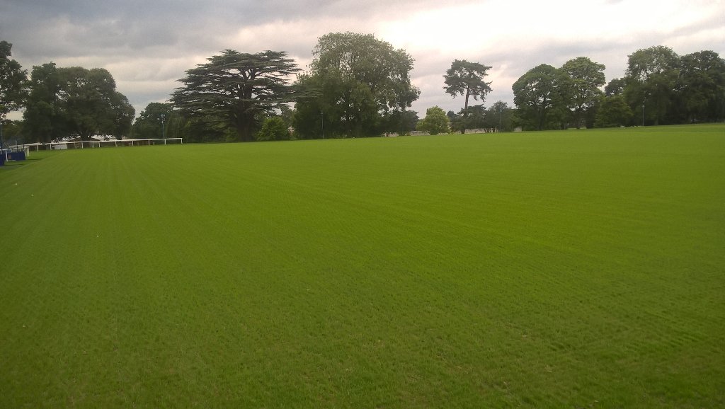 First day back from holiday and Senior football coming on well, first rotary cut yesterday and first Primo today.