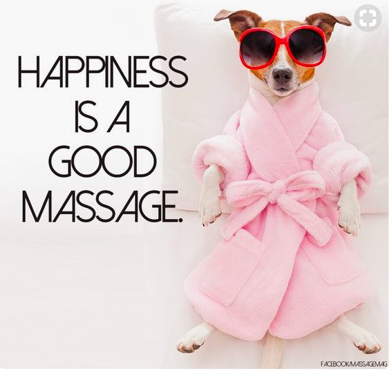 zendiggity007's tweet photo. I couldn't resist posting a #dog in a robe, expressing the delight of a #massage. Pups love the rubs too! :) https://t.co/7xItO8o147