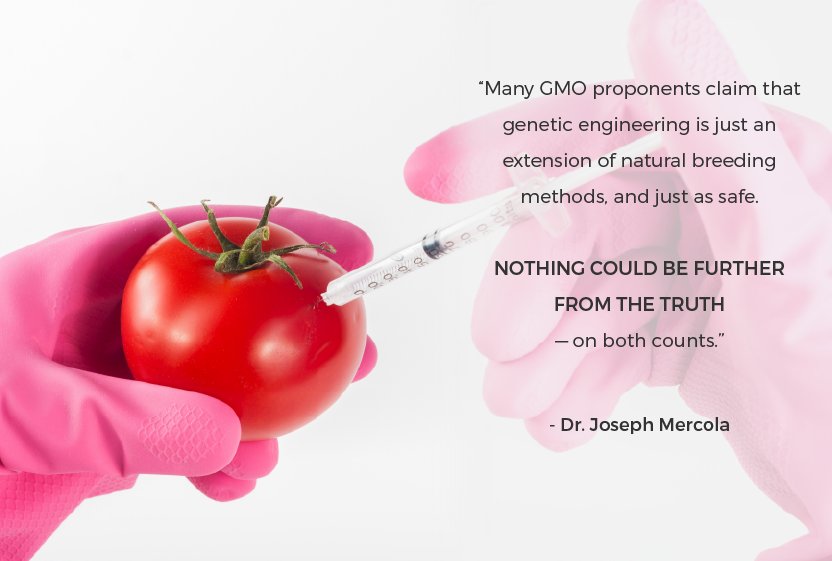 Episode 1 of "GMOs Revealed" 9-Part Docu-Series Shows Tonight 9 PM EDT. Register Now For FREE Access: TruthAboutGMOs.com