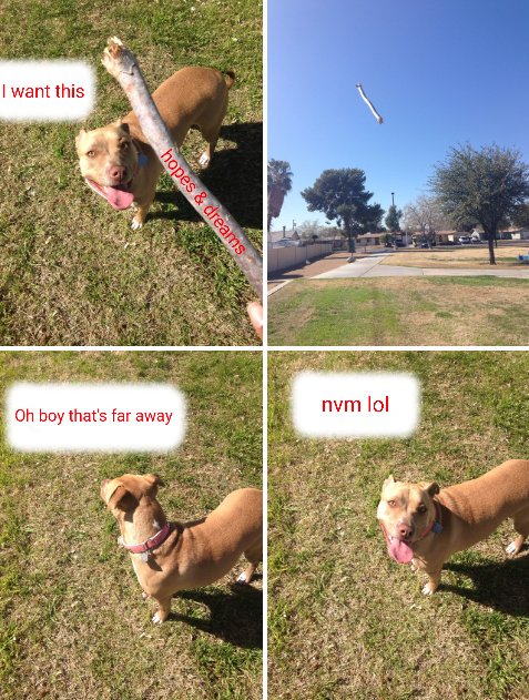 Sam_DMC_'s tweet image. nvm lol