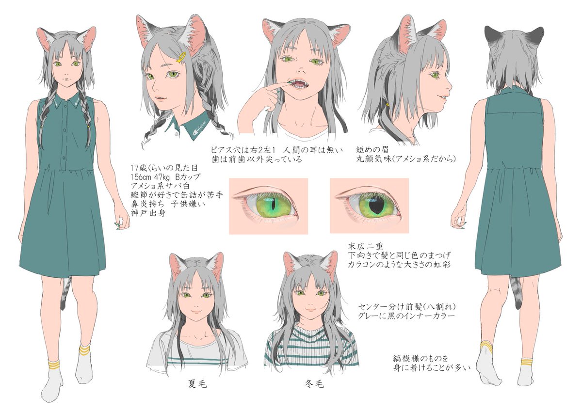 猫 