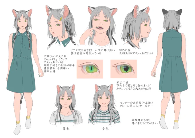 猫 