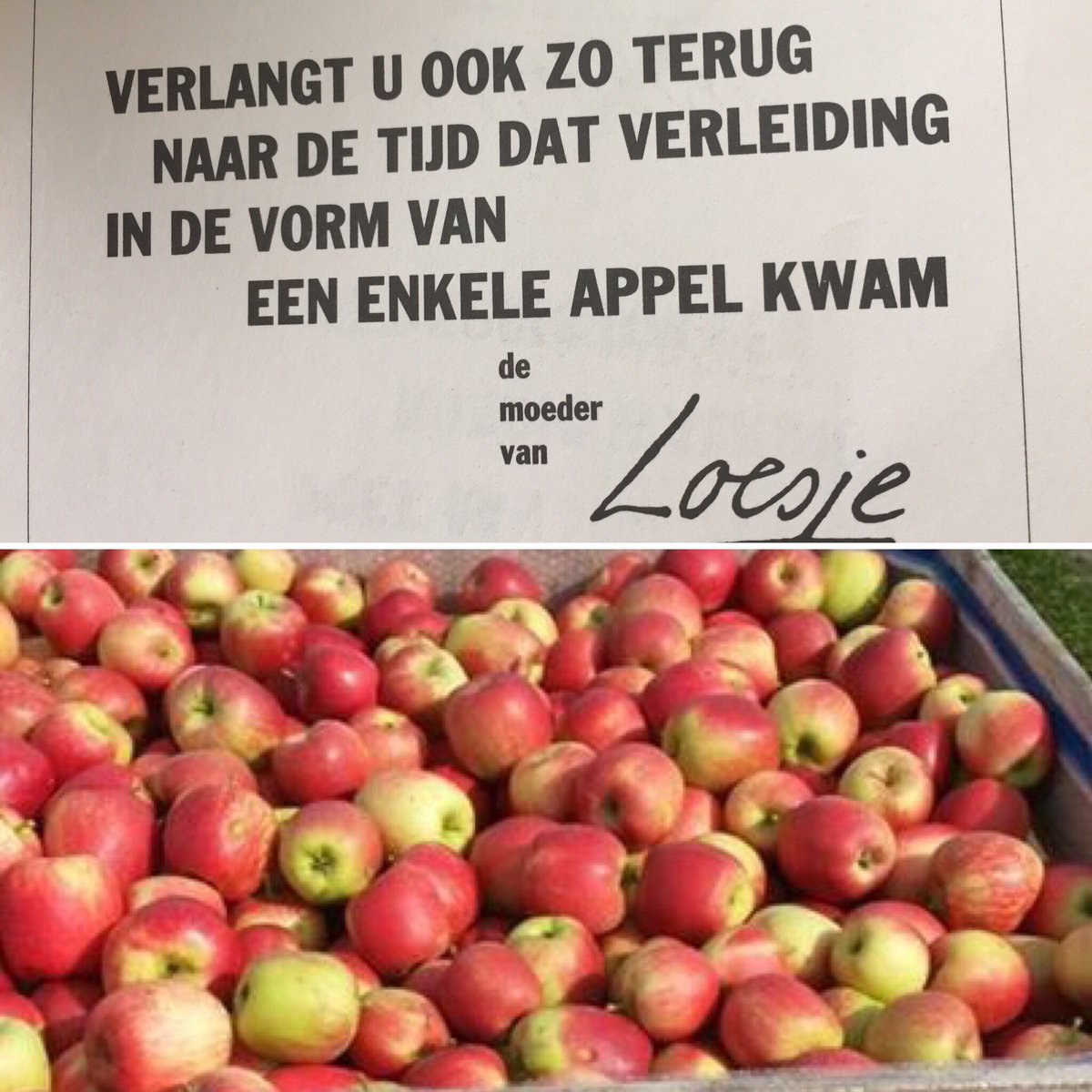 Ook zin in een  heerlijke appel ?  Weer volop verkrijgbaar kijk op de site van zekerzeeuws.nl