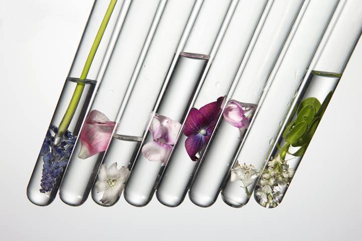 Canadian Dermatology tweet media