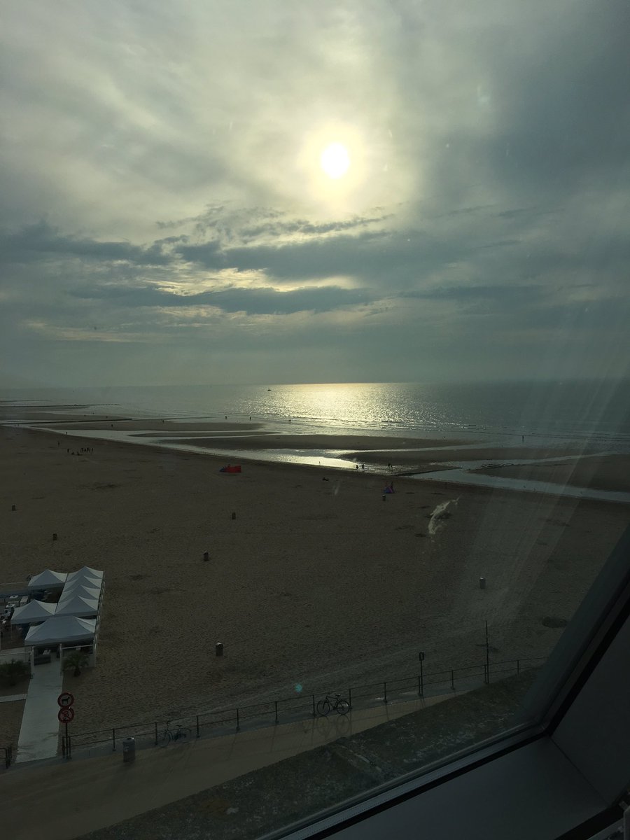 katrien dewijngaert tweet media