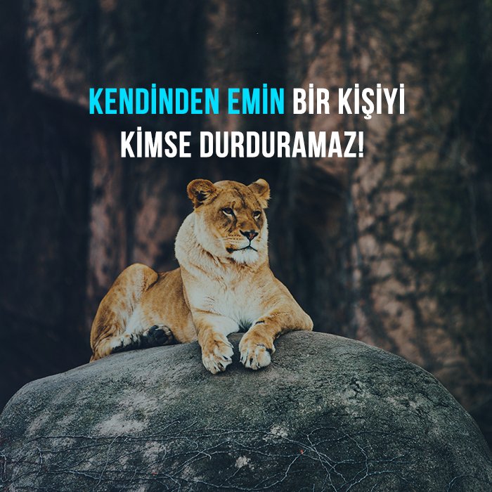 Hiç kimse!