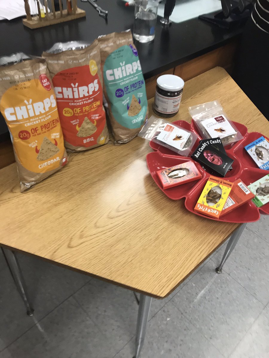 AcademyCoachHL's tweet photo. What is "bugging" Ms. Hoyal's Enviro Systems students? Learning about food supply systems sure is ant-eresting @KesslerDr #BugPuns #G2BAW https://t.co/Ut1PB4ashR