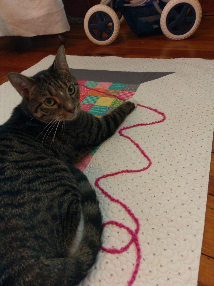 HomeplaceQuilts's tweet photo. Happy Back to School Day to ME!!! #backtoschool #quilting time #fall2017… https://t.co/J8kc4W0S5f https://t.co/QcofcHqaV8