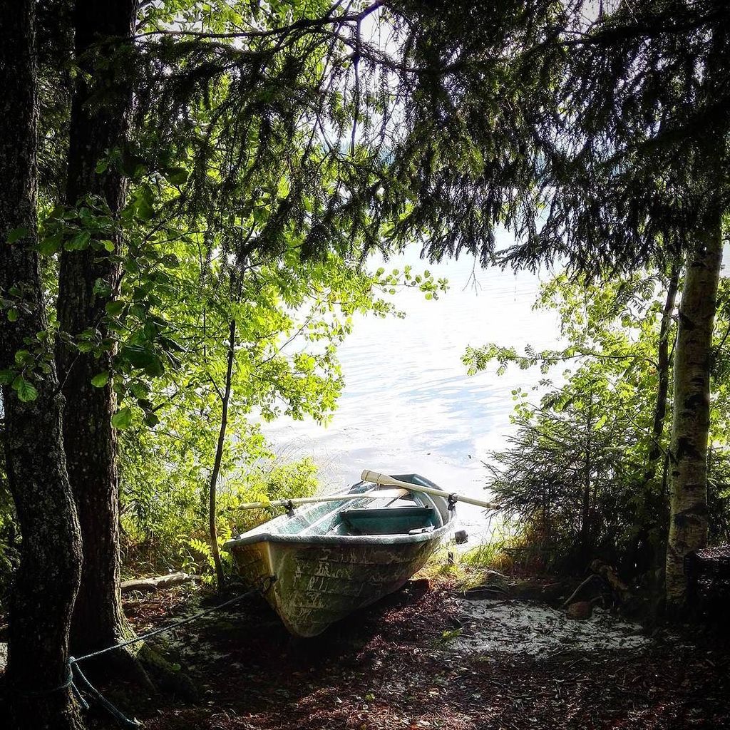 ElliSylvia's tweet photo. In the shade of the trees...
#nature #lake #landscape #boat #lightandshadow #light #shade #picoftheday #instamomen… https://t.co/YYqc8jGXvz https://t.co/p02oTrip0d