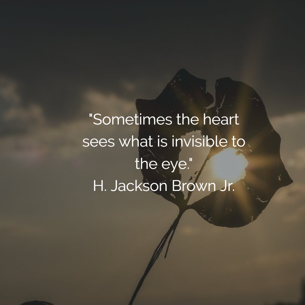 bethanntuttle's tweet photo. "Sometimes the heart sees what is invisible to the eye."
H. Jackson Brown Jr. https://t.co/Qk4xovTCRC