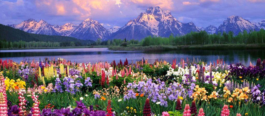 susan52's tweet photo. What exactly is faith? on @wordpressdotcom https://t.co/Jur5HTiNwU https://t.co/8clNYFPUVG