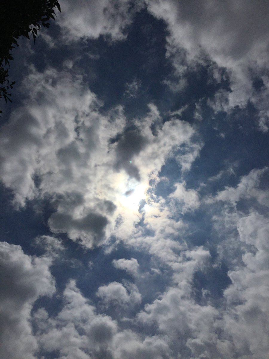 See the little Blue Thing?