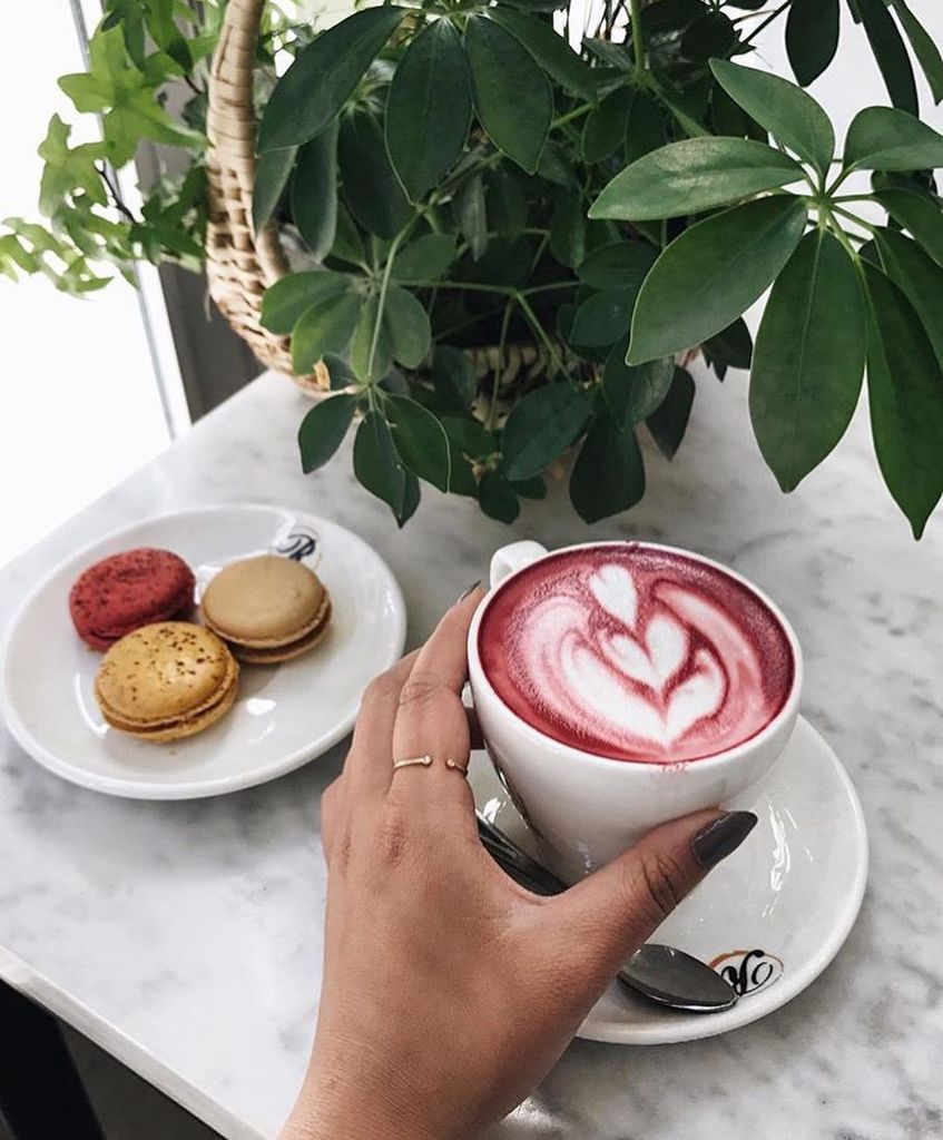 Ramini37's tweet photo. @maddietsang and our beet root latte ☕️💕 https://t.co/oTr6IIwzbh