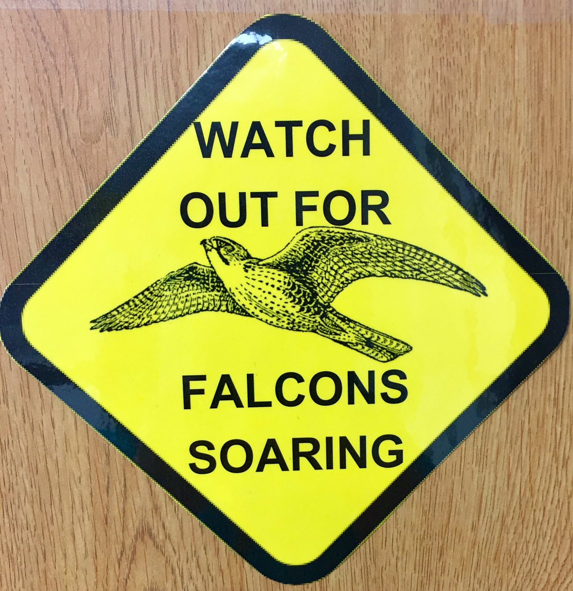 A new sign for my door--letting my students know I have HIGH expectations for them! <a href="/donniebartlett9/">Donnie Bartlett</a>