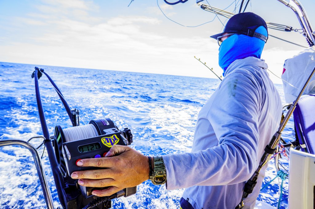 “They said, come to Baja, they said it would be warm” submesoscale.org/2017/08/22/the…