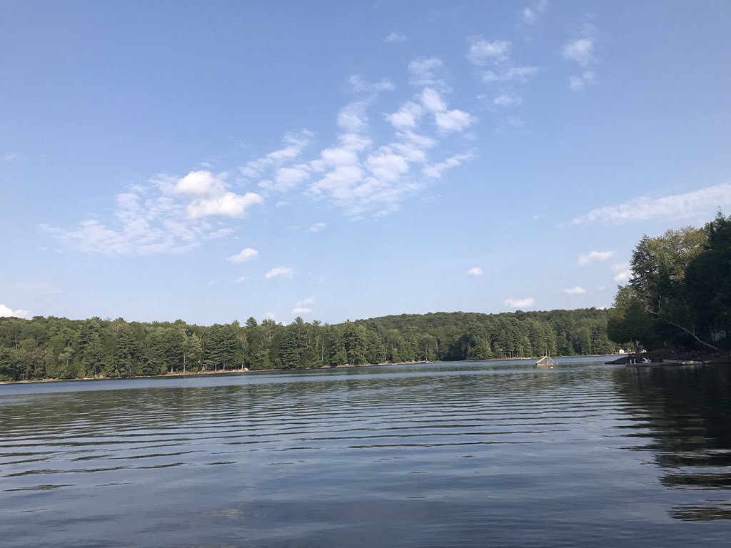 VChetcuti's tweet photo. Ahh. Peacefulness. #cottageview #summer #BigHawkLake https://t.co/wQ1egf9I2s