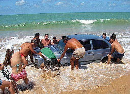 Grazie a loro...questa golf è tornata a nuotare felice 🐳🐳🐳