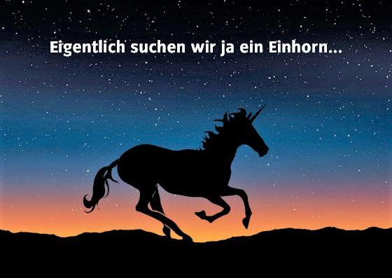 Summit Aura 8848 tweet media