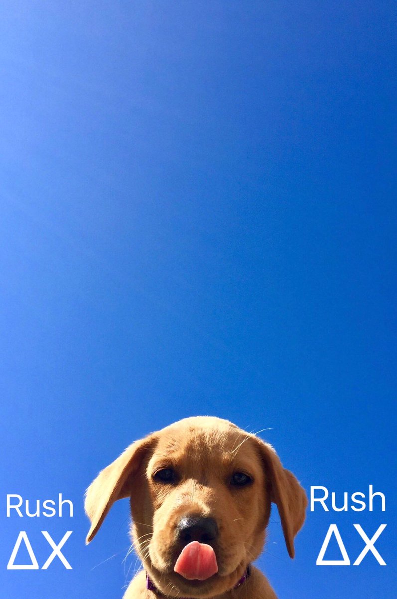 wcudeltachi's tweet photo. Open for a surprise https://t.co/5AJ1r23WEU