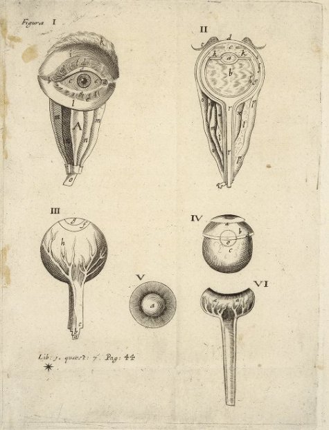 FolgerResearch's tweet photo. The @FolgerLibrary has #earlymodern ophthalmology #folgerfinds #sayeye #comeandsee https://t.co/4ibdQBlQj4 https://t.co/SDbV5RStOj