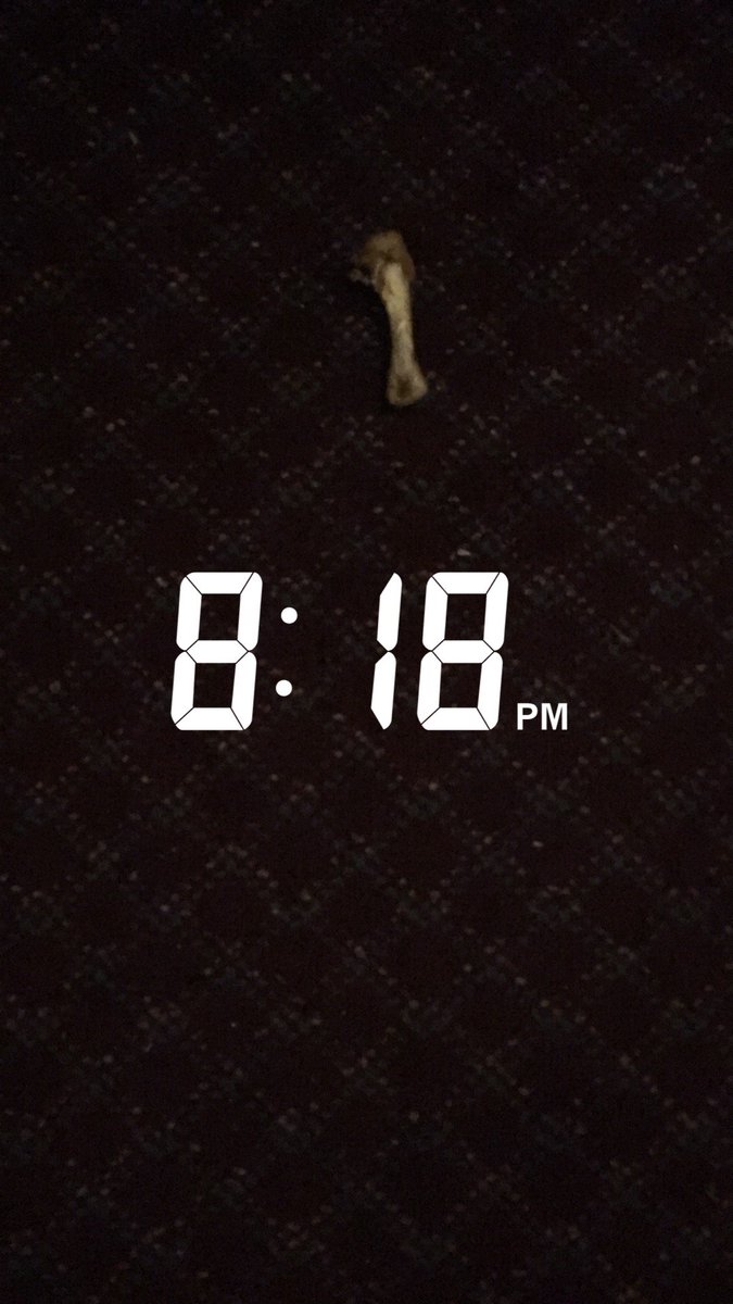 trammisms's tweet photo. Sis checked into hotel at 3:24 pm &amp; sent pic of chicken leg in hallway. 5 hours later-still here. #betsonhowlong #chickenleg @redroofinn https://t.co/peG7R1wZgK
